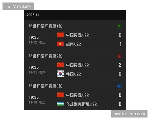 伊朗队亚洲杯表现稳健,球迷热盼未来再创佳绩